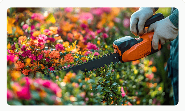 Pruning &amp; Shaping In Dubai